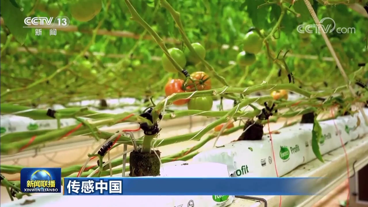 37000vip威尼斯【传感中国】订制全新味道(图2)